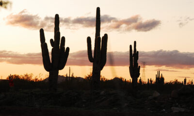 Black Mountain BMX, site of the 2020 Desert Classic BMX Nationals