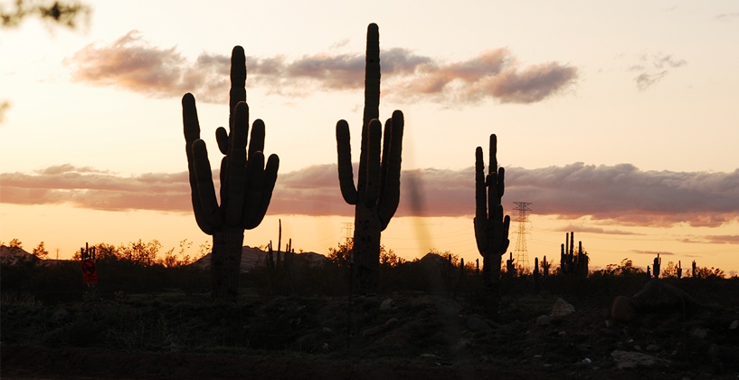 Black Mountain BMX, site of the 2020 Desert Classic BMX Nationals